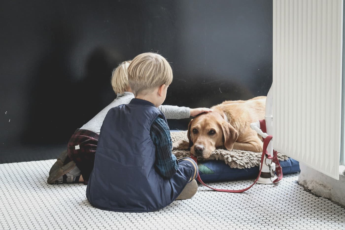 Zwei Kinder sitzen vor einem Hund, der ruhig auf seiner Decke liegt, eines streichelt ihm über den Kopf