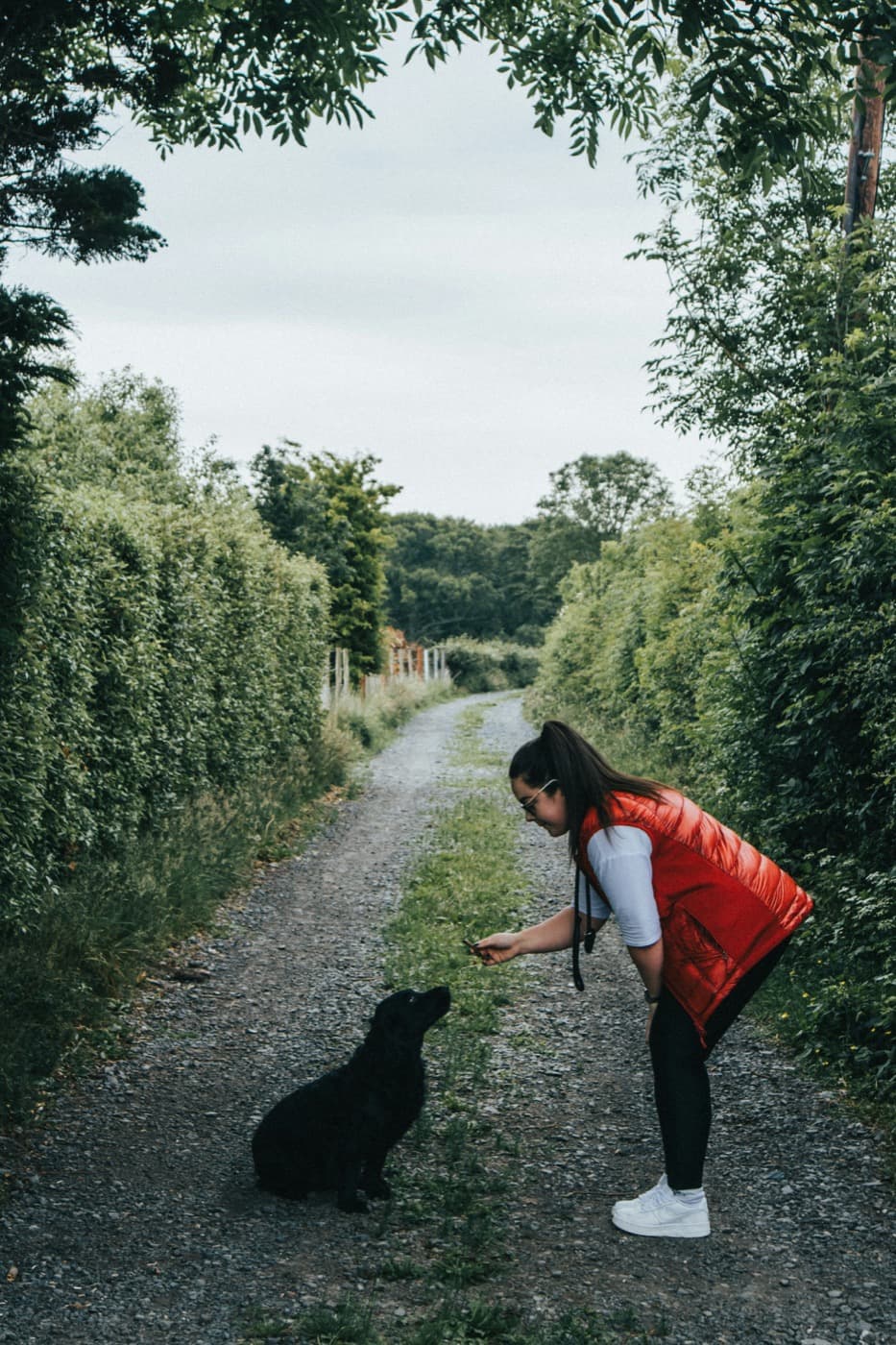 Frau beugt sich auf einem Feldweg zu einem schwarzen Hund, der vor ihr sitzt und zu ihr aufschaut
