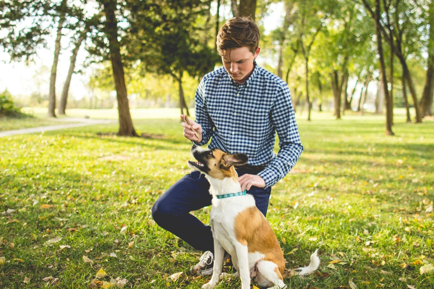 Junger Mann kniet im Park neben einem jungen Hund, der aufmerksam zu ihm hochschaut