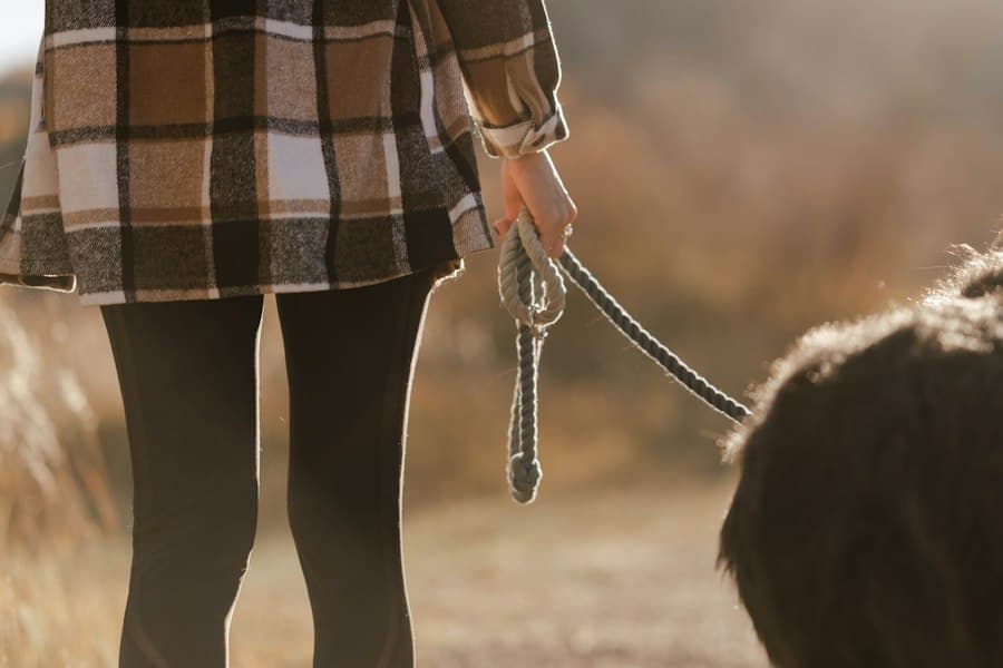 Frau hält die Leine eines Hundes auf einem Spaziergang